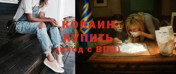 дживик Аркадак