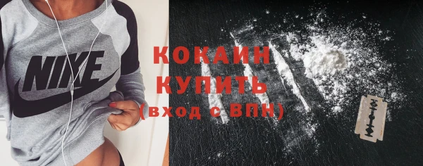 дживик Аркадак