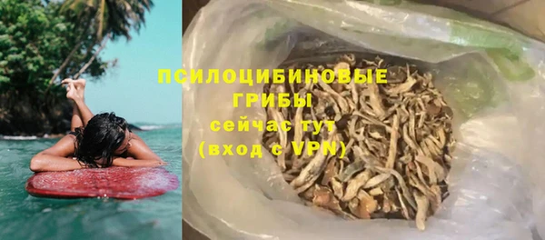 PSILOCYBIN Арсеньев